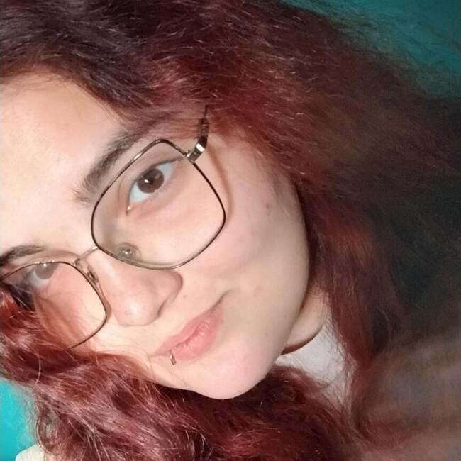 Babysitter in Novo Hamburgo: Stefani
