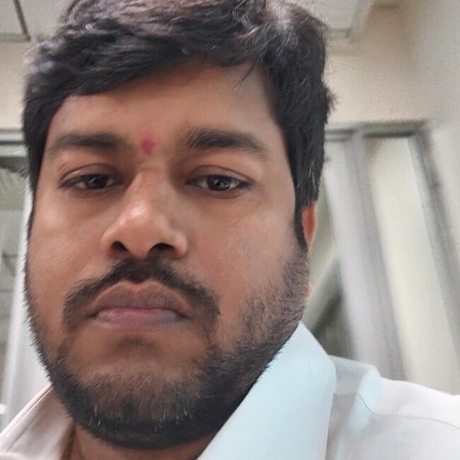 हैदराबाद में बेबीसिटिंग की नौकरी: Ramishetti