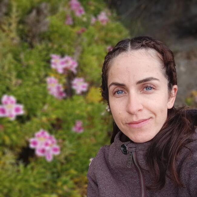 Babysitter in Coquimbo: Valentina