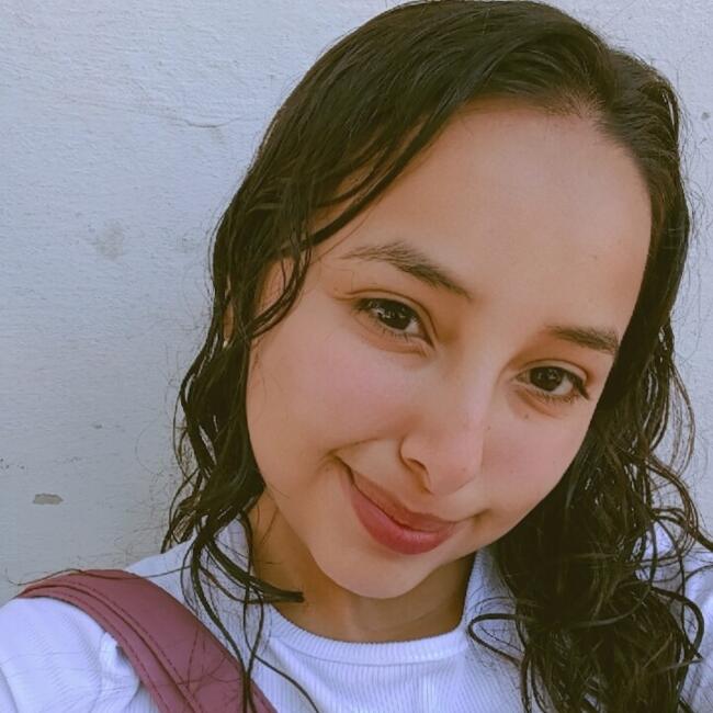 Niñera en Bogotá: Yalenis Ramirez