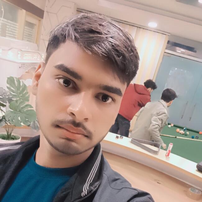नई दिल्ली में बेबीसिटर: Deepak