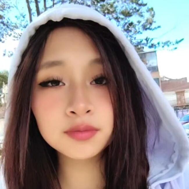 Babysitter in Concepción: Brigiht