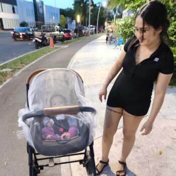 Babysitting job in Chetumal: babysitting job Joel Rivera