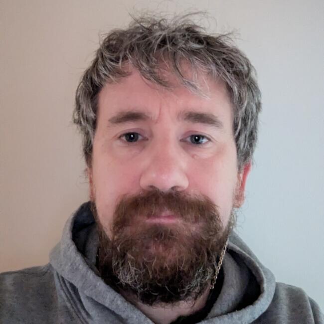 Babysitting job in Athlone: James