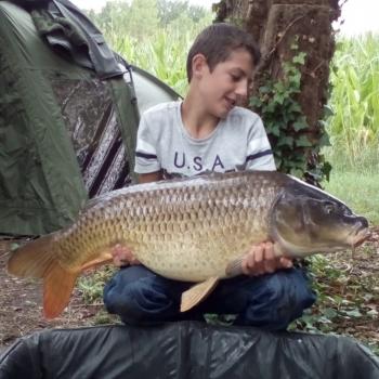 Baby-sitter Lokeren: Reno