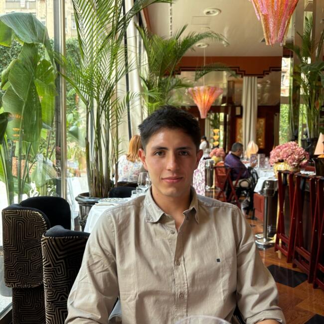 Babysitter in Molins de Rei: Santiago