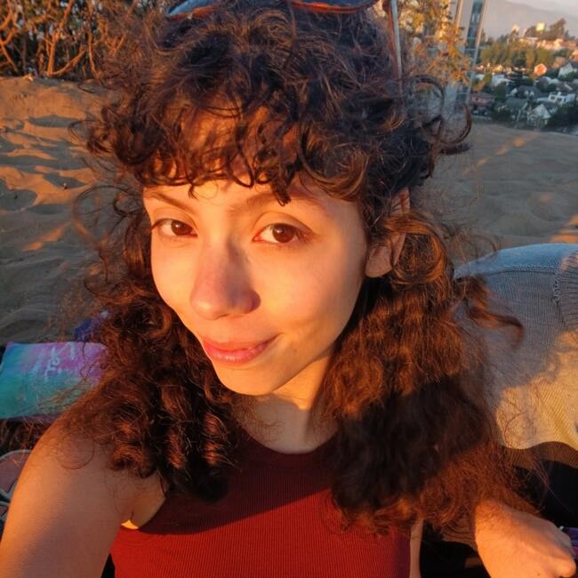 Babysitter in Osorno: Any