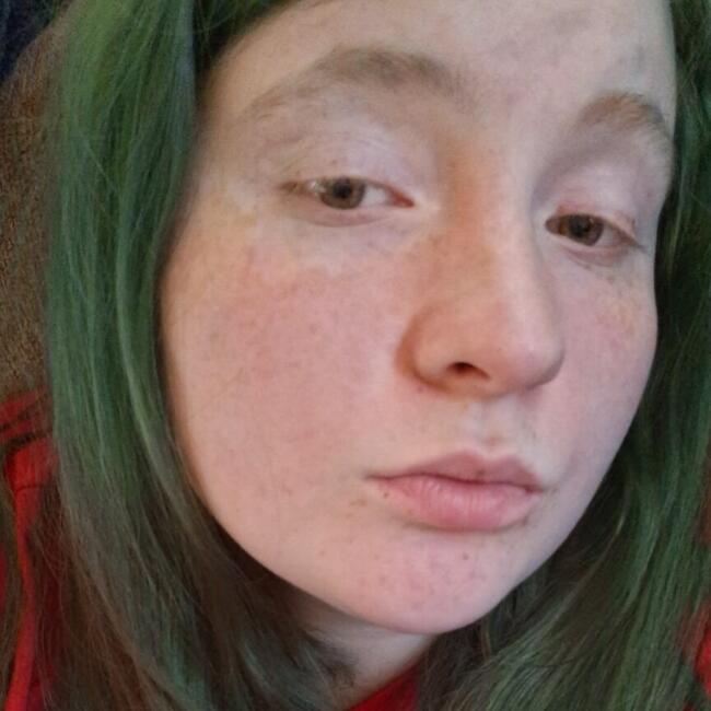 Babysitter in Hendersonville (North Carolina): Holly