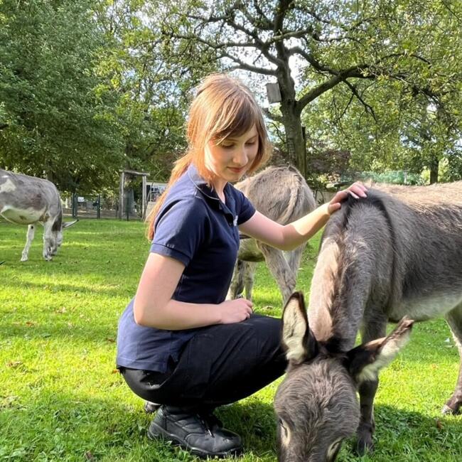 Babysitter in Heerlen: Fabiënne