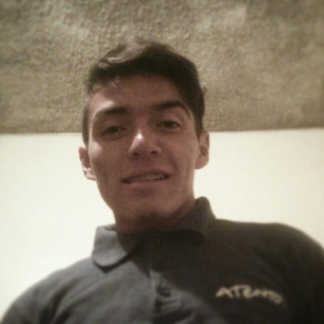 Babysitting job in Bogotá: Juan