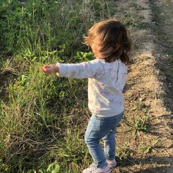 Babysitting job in Sant Gregori: babysitting job Carla