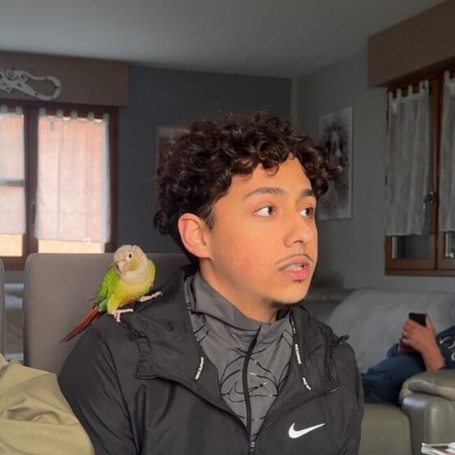 Babysitter in Seclin: Kaïs