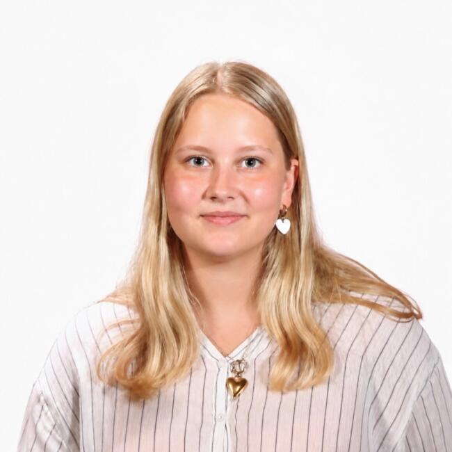 Babysitter in Heino: Annelotte