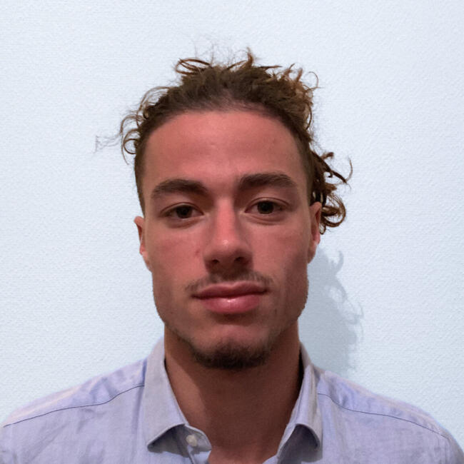 Babysitter in Toulouse: Ivan