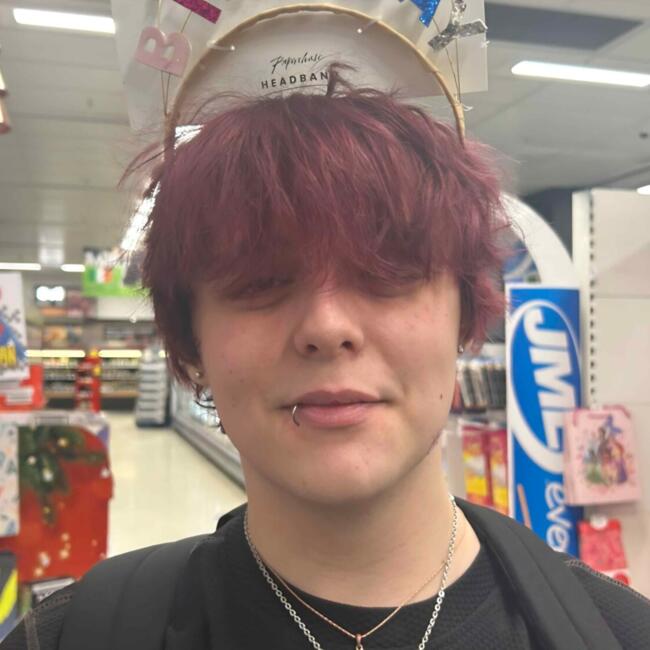 Babysitter in Lucan: Troy