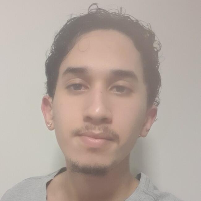 Babá em São Paulo (São Paulo): Raul