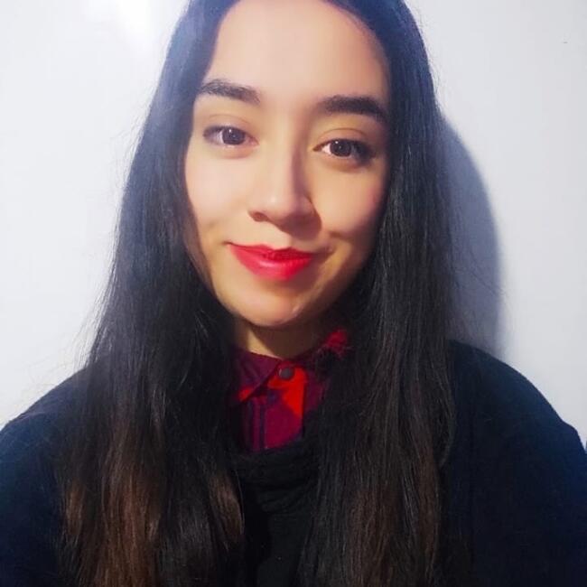 Niñera en Santiago de Chile: Analía