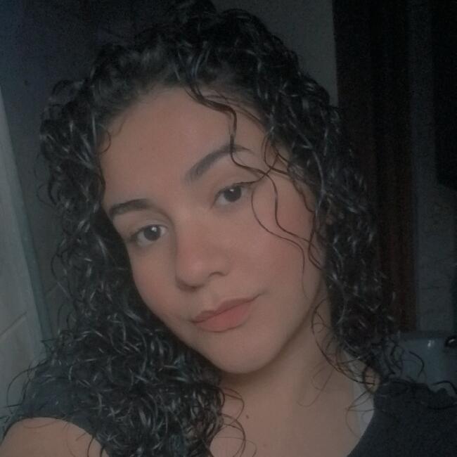 Babysitter in Embu das Artes: Joh