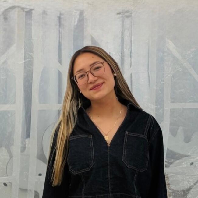 Babysitter in Mexico City: Marisol