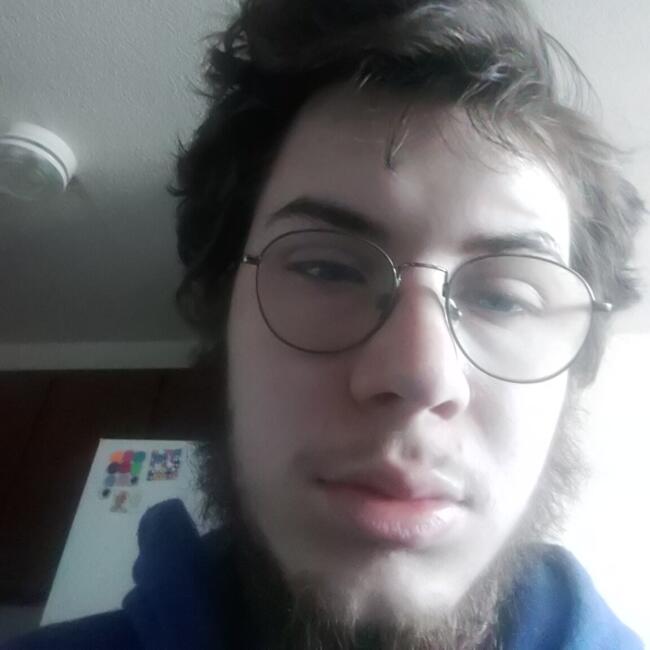Babysitter in Clinton (Illinois): Mark