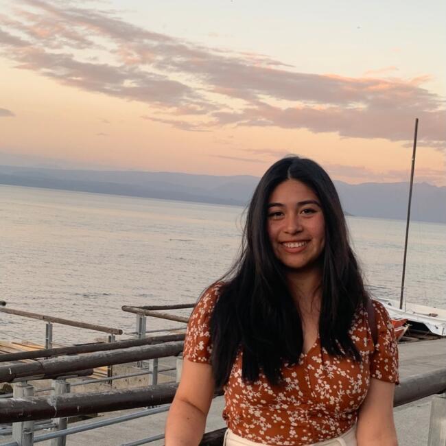 Babysitter in Villarrica: Yamna Pozas