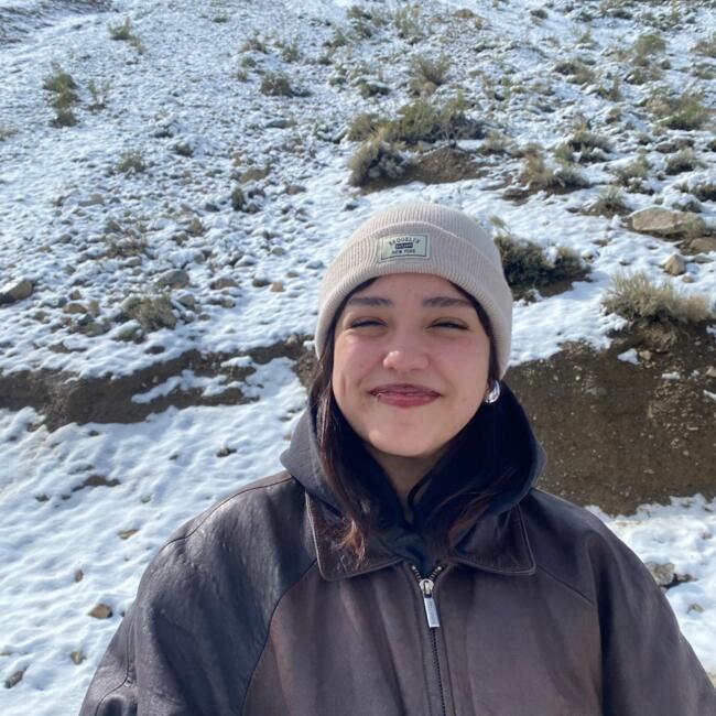 Babysitter in Coquimbo: Almendra