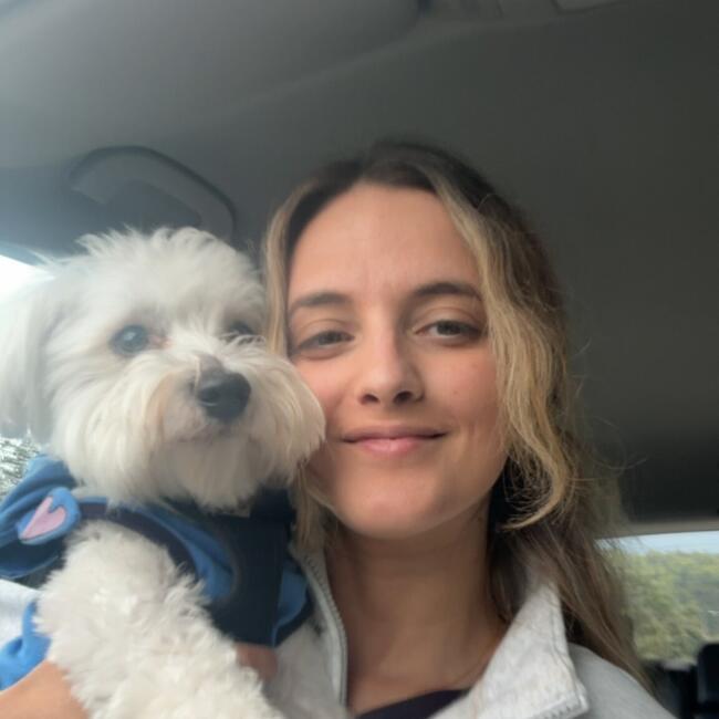 Babysitter em Santo Tirso: Maria Inês