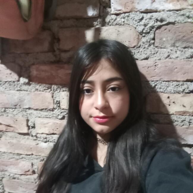 Niñera en Mendoza: Cristal