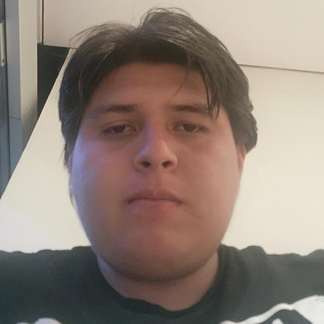 Trabajo para niñera en Zihuatanejo: THEMOG