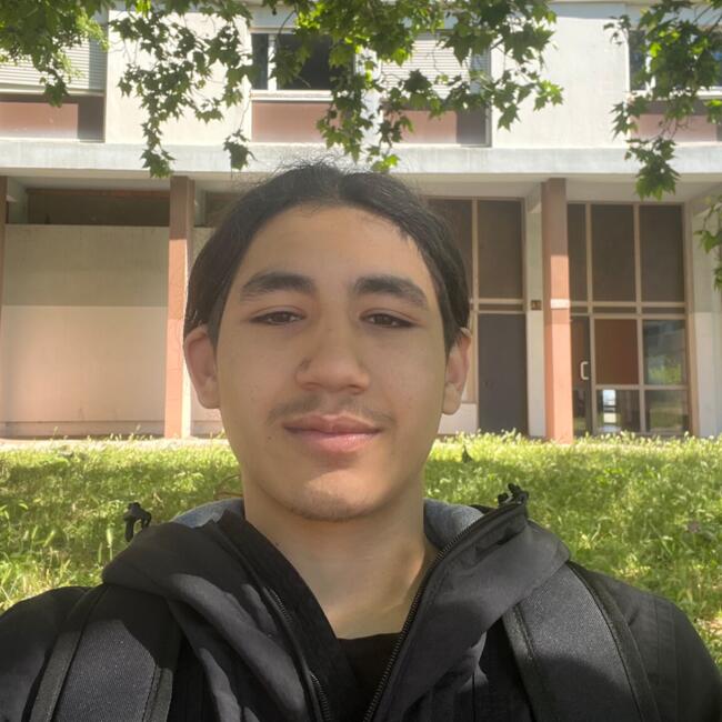 Babysitter in Marseille: Salim