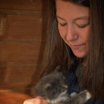 Baby-sitter Le Haillan: Carla