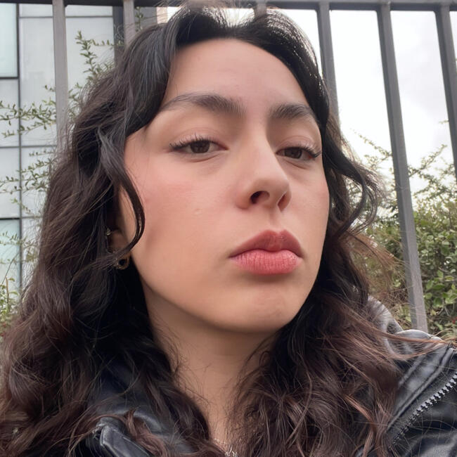 Niñera en Santiago de Chile: Martina