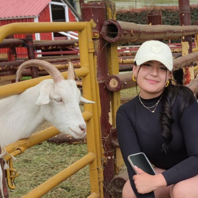 Babysitter in Bogotá: Dayned