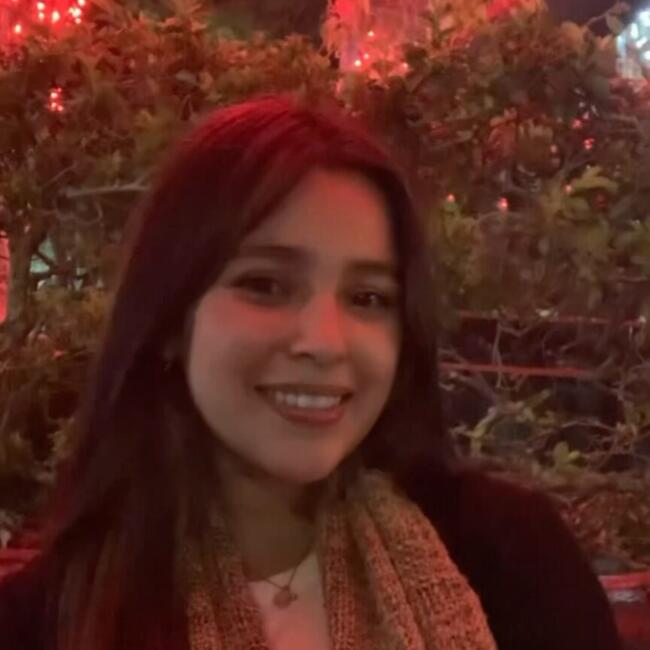 Babysitter in San Ramón: Elisa