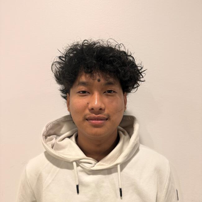 Babysitter in Vantaa: Krishal