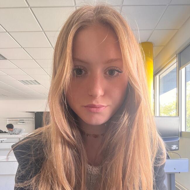 Babysitter in Huisseau-sur-Mauves: Louise