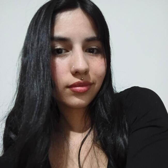 Babysitting job in Los Cerrillos: Anais