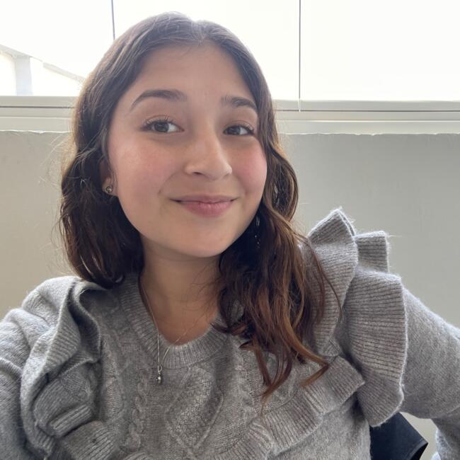 Niñera en Puente Alto: Paula