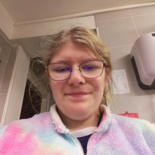 Babysitter in Savigny-sur-Orge: Madison