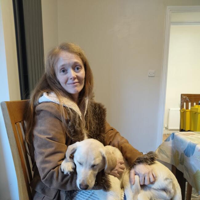 Babysitting job in Kill: Tríona