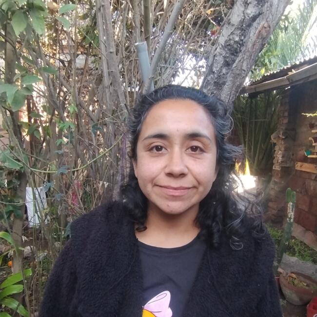 Babysitter in Santiago: Carolina andrea