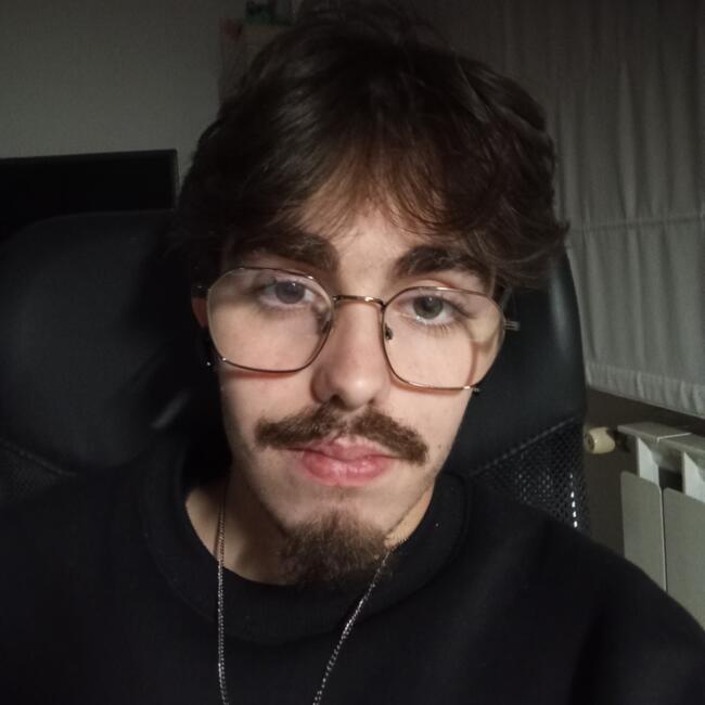 Babysitter in Maia: Gustavo