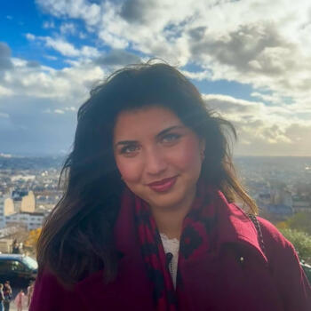 Babysitter in Paris: Sham