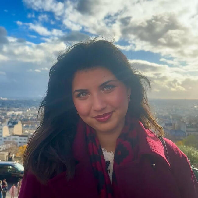 Babysitter in Paris: Sham