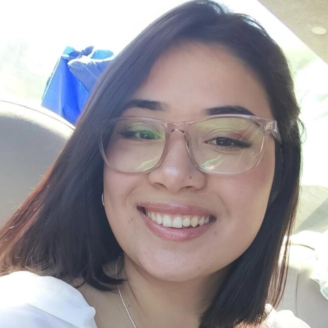 Babysitter in Temuco: Krishna