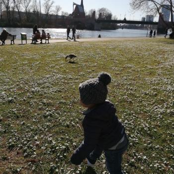 Babysitter Job Frankfurt am Main: Babysitter Job Jénifer
