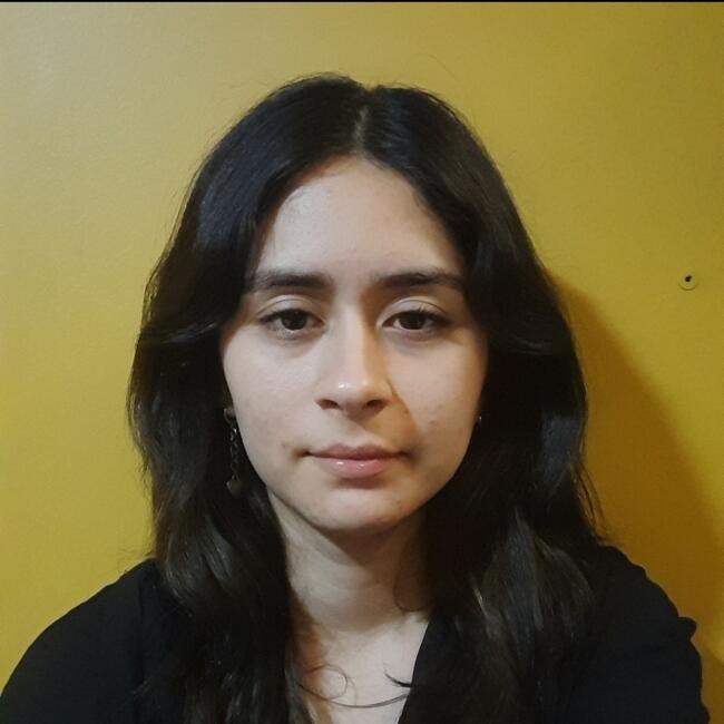 Niñera en Curacaví: Nicole Valenzuela