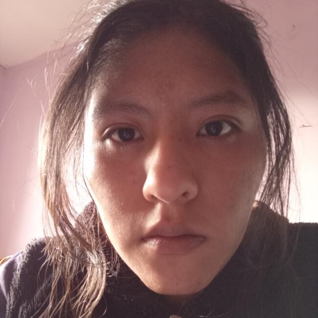 Niñera en El Alto: Reyna