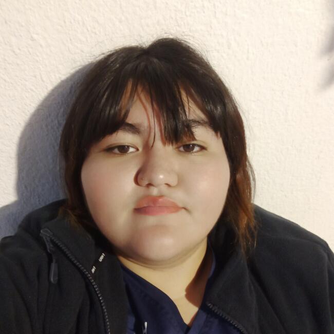 Babysitter in Santiago: Sandra