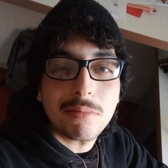 Babysitter in Mulhouse: Hocine Rayane